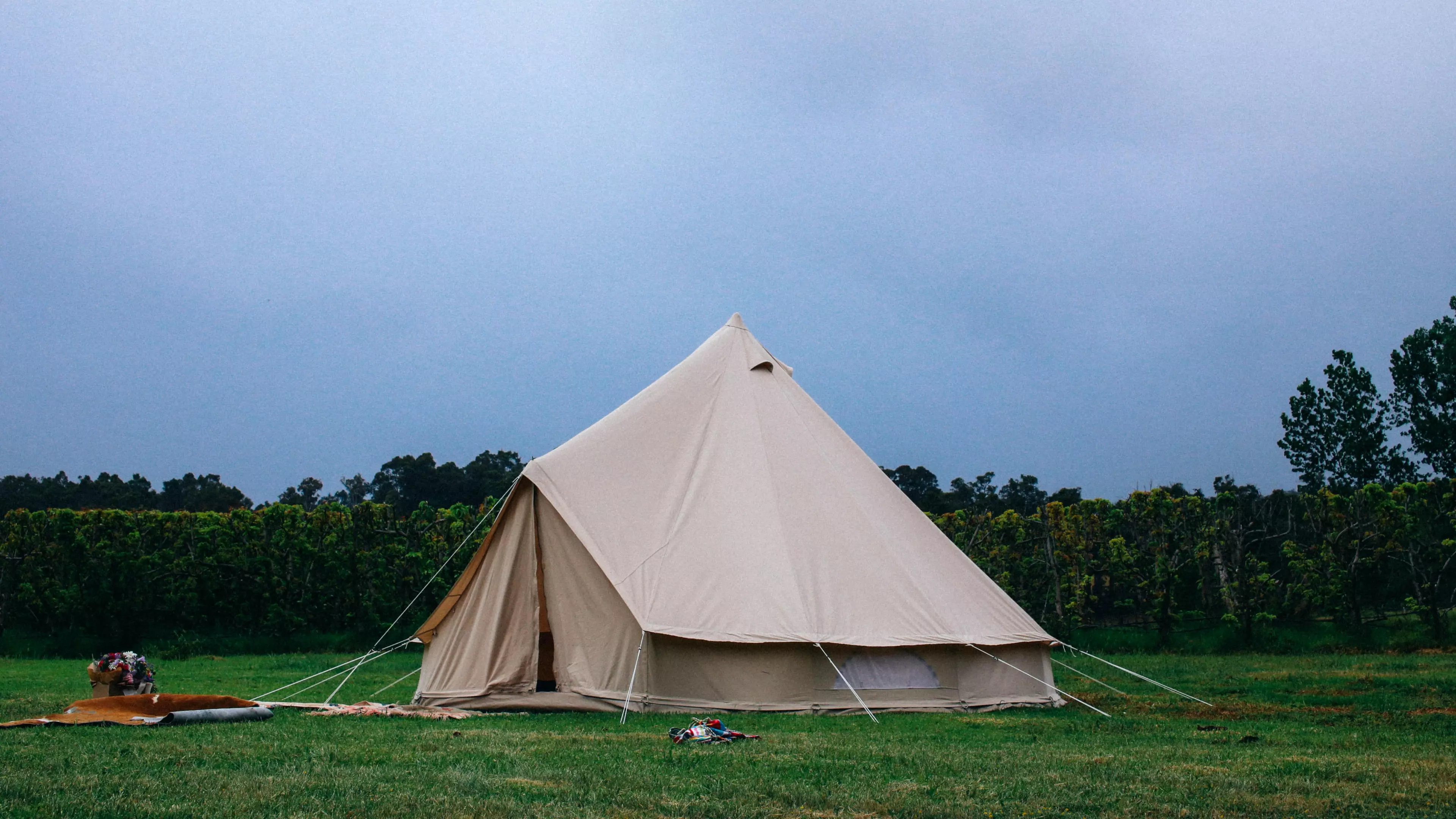 Quis nam delectus photo